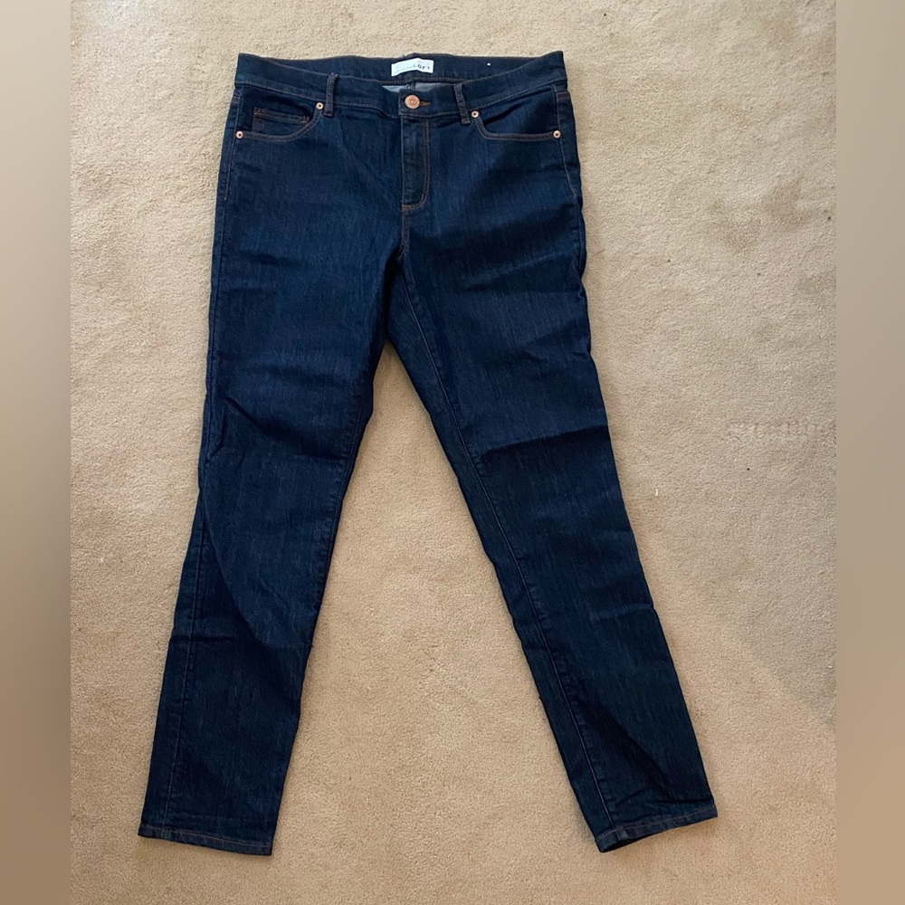 NWOT modern skinny jeans from Loft, size 10, never worn